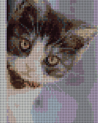 Chat