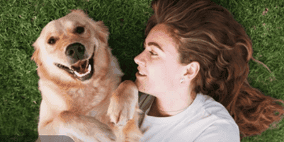 Chien - photo