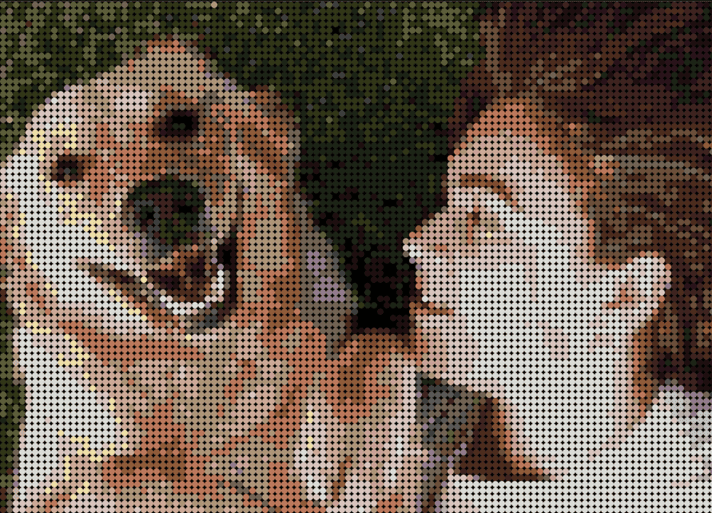 Chien